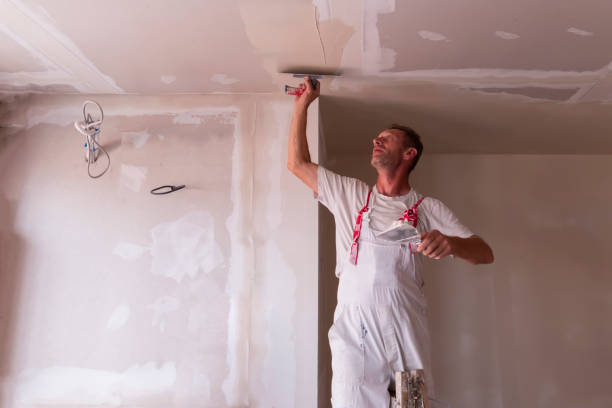 Best Wallpaper Removal and Painting  in Penbrook, PA